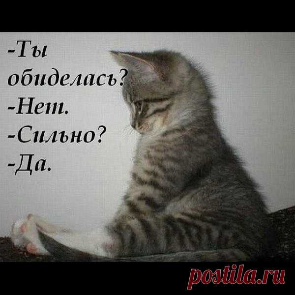 УРА, ПЯТНИЦА! Котоматрица!