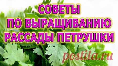 Почта Mail