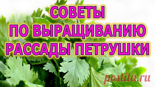 Почта Mail