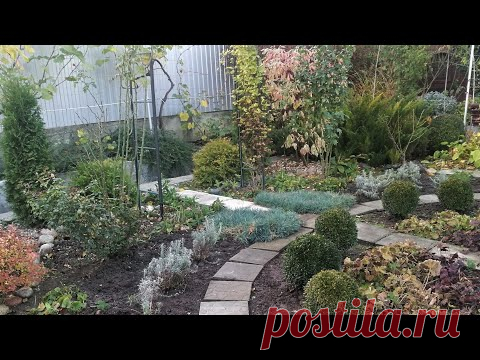 21.11.2020. Обрезка и подвязка роз - метод Сиссингхерст. Удобрения для роз и как их применять.