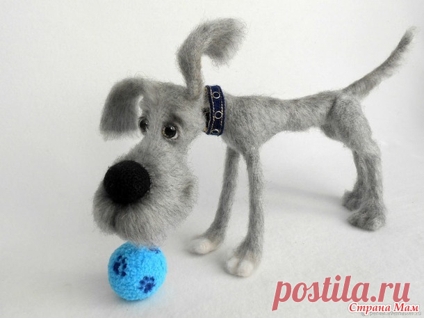 Собакули - символ года - Красноярское агентство 