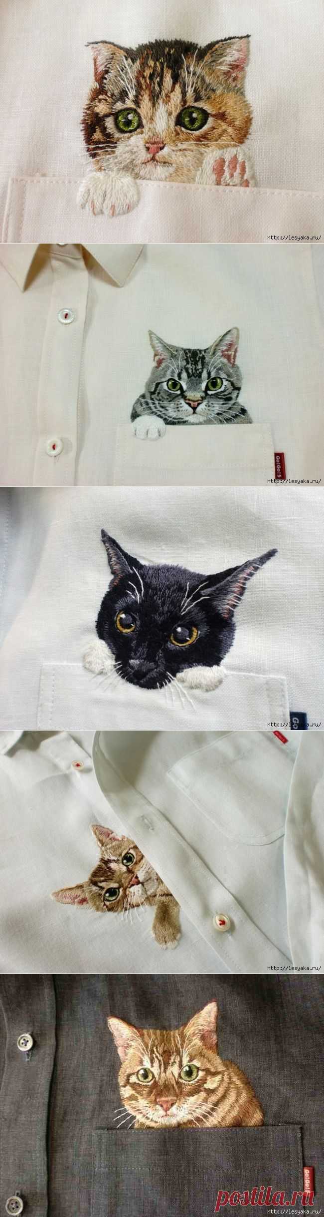 Дресс-кот.
