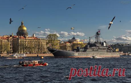 Парадный облёт. Владимир Колесников:
На параде кораблей в честь Дня Победы в 2015 году на Неве. Чайки тоже парад устроили… Метки: питер, нева, парад кораблей, май 2015, чайки, свет, цвет.
| Парадный облёт — National Geographic Россия