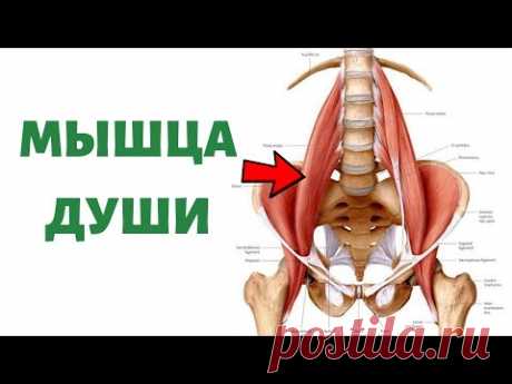 Как расслабить поясничную мышцу | Psoas release