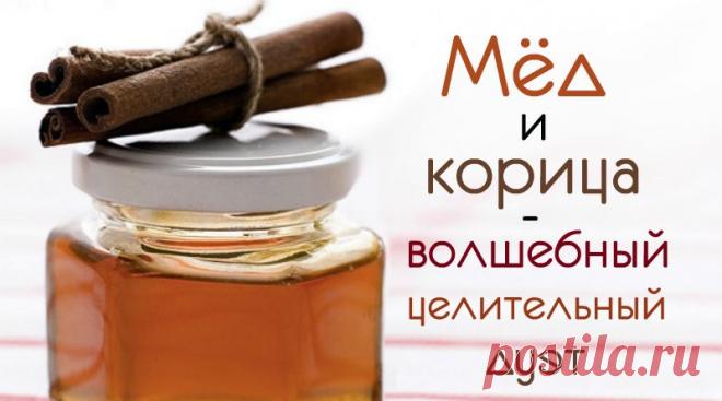Мед и корица: 5 способов применения дуэта, о которых вы даже не догадывались