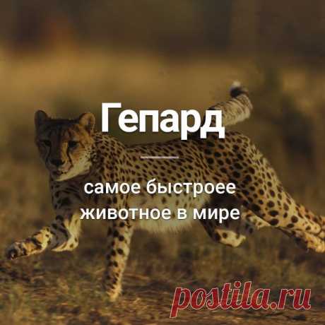 Узнай сегодня