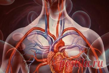 Новая неделя-новые темы уроков в 9 классе! | PortalBio