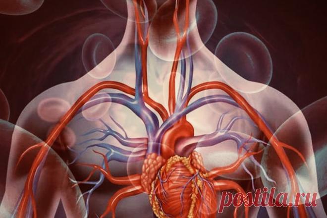 Новая неделя-новые темы уроков в 9 классе! | PortalBio