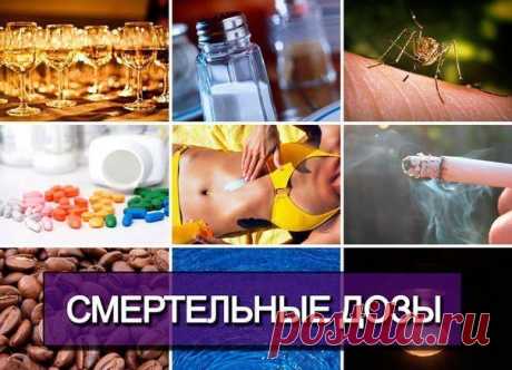 ВАЖНО ЗНАТЬ! СМЕРТЕЛЬНЫЕ ДОЗЫ... | Познавательный сайт ,,1000 мелочей&quot;