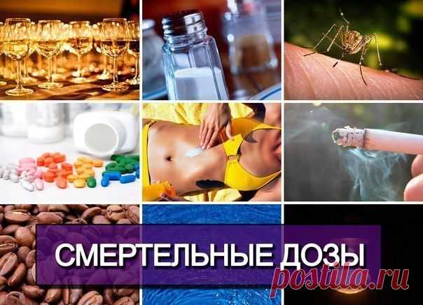 ВАЖНО ЗНАТЬ! СМЕРТЕЛЬНЫЕ ДОЗЫ... | Познавательный сайт ,,1000 мелочей"