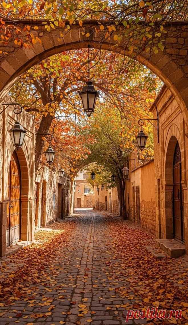 Пин на доске Autumn splendor