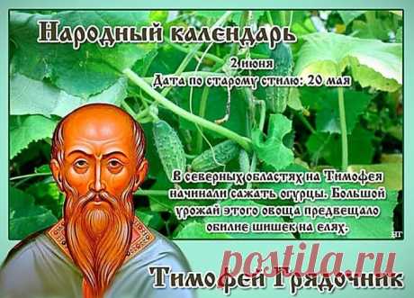 В день яркий и особенный
Пусть будет мир наполненным
Добром, и светлой радостью,
И праздничной реальностью.