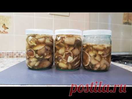 КАК мариновать МАСЛЯТА. Так ПРОСТО вы еще не делали!