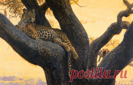 Обои кошка, дерево, отдых, хищник, картина, ветка, арт, пятна, леопард, дикая, Bob Kuhn картинки на рабочий стол, раздел живопись - скачать