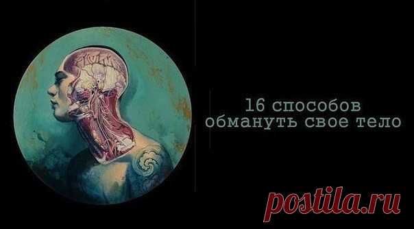 16 способов обмануть свое тело (сохраняем себе)

1. Если у вас сильно першит горло
Помассируйте мочку вашего уха. Это активирует ушные рецепторы и рефлекторно вызовет спазм в горле, который облегчит першение.

2. Если вам трудно расслышать бормотание собеседника
Поверните к нему правое ухо, так как оно лучше слышит быструю невнятную речь. А тихую мелодию поможет лучше расслышать левое ухо, так как оно более чутко улавливает музыкальные переливы.

3. Если у вас затекла рука...