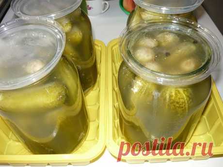 &quot;Огурцы из-под крана&quot; пришлись многим по вкусу