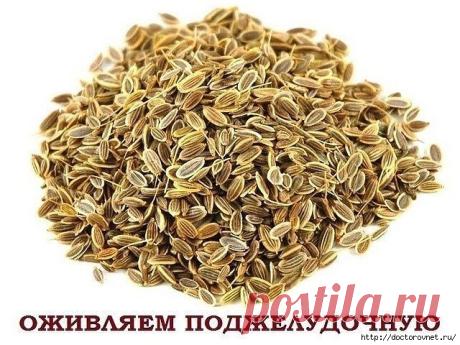 Скорая помощь при панкреатите 
Скорая помощь при панкреатите. 4 рецепта




В домашних условиях лечить поджелудочную железу народными средствами можно,к примеру, всем известным укропом или его семенами.

1. Одну чайную ложку измел…