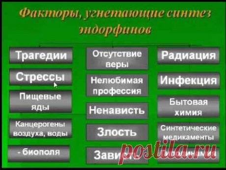 Энкефалин-эндорфиновая система &amp;raquo;