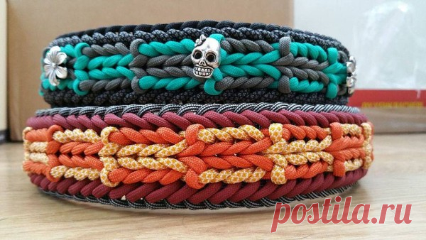 Ошейник для собаки из паракорда| Swiss Paracord GmbH