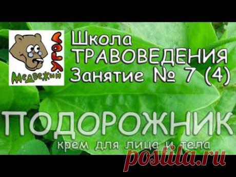 Школа травоведения. Занятие № 7 (4) ПОДОРОЖНИК - готовим крем для кожи лица и тела