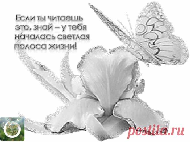 Интересует, как можно зарабатывать с помощью компьютера и телефона? Реальный гарантированный заработок для желающих работать и зарабатывать! Говорить можно много - смотрите сами на сайте и делайте выводы!