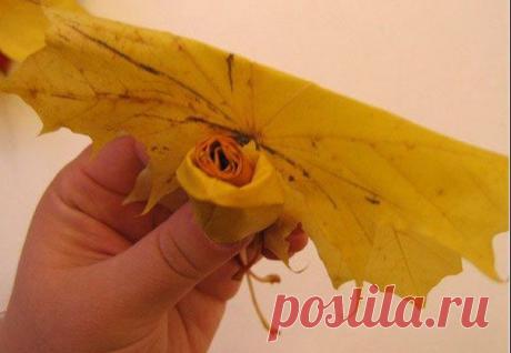 Отношения, как цветы... Когда они умирают, не нужно делать из них гербарий