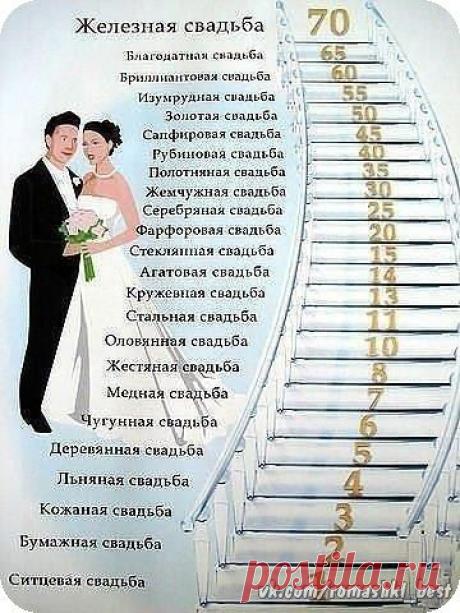 ✔ Ромашки в Экстазе