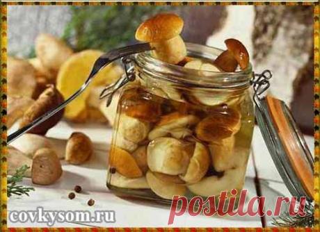 Маринуем грибы на зиму - covkysom.ru