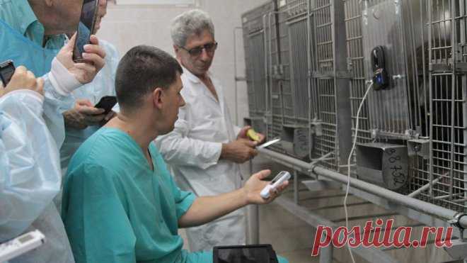 Роман Овчинников и Юрий Матвиенко о научных исследованиях команды Бориса Александрова - Олег Анисимов