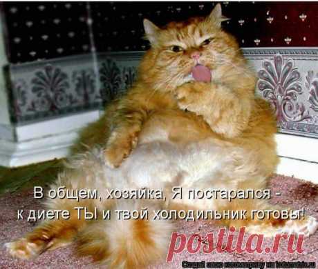Масленица - старинный праздник, который любят все - и старые, и малые. Так вот старинные обычаи гласят, что положено «на Маслену есть до икоты, орать до перхоты, петь до надсаду, плясать до упаду». А мы же от себя хотим добавить, чтобы вам жилось так не только во время празднования масленицы, а каждый день.