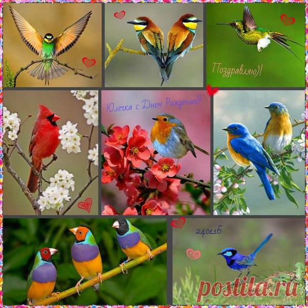 ЮЛЕЧКА, с Днем Рождения)!!! Любви, счастья и всего самого прекрасного)!