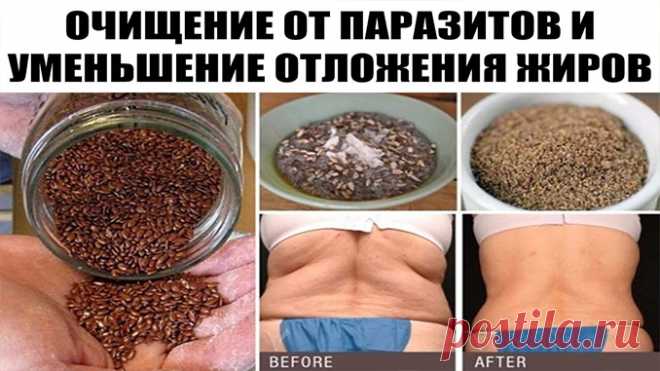 2 мощных ингредиента, которые очистят ваш организм от паразитов и уменьшат отложения жира! Сразу энергии поприбавилось! Паразиты это организмы, извлекающие и утилизирующие питательные вещества нашего организма, что негативно отражается на нашем