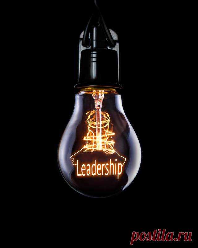 5 типов лидерства, которые помогут вам создать высокоэффективную команду — Гармония в тебе