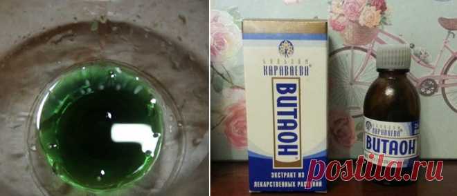 «Хлорофиллипт»: цена вопроса — копейки! 15 проверенных временем рецептов. — полезные Советы и рецепты для всех
