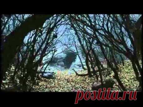 Ирина Богушевская!!! | ОБЩЕНИЕ И ВСЕ САМОЕ ИНТЕРЕСНОЕ. | Группы Мой Мир