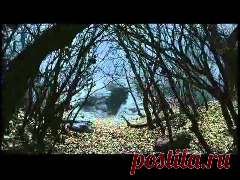 Ирина Богушевская!!! | ОБЩЕНИЕ И ВСЕ САМОЕ ИНТЕРЕСНОЕ. | Группы Мой Мир