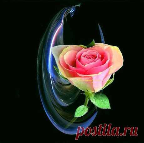 Интересные новости