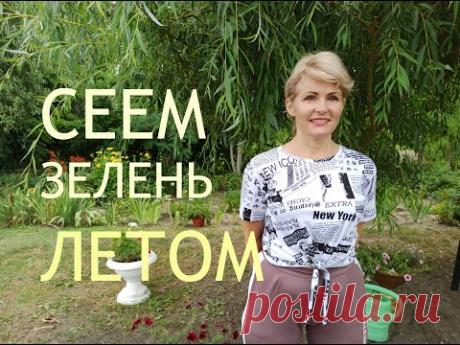 Посадка укропа, петрушки , кинзы и салата в июле