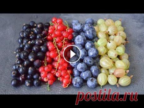 Заготовка ЯГОД ☆ Витамины КРУГЛЫЙ ГОД!!! Сегодня хочу поделиться с вами вариантами заготовки ягод (клубника, смородина, крыжовник, вишня и тд) на зиму! Приготовим: - цукаты - пастилу - сухофр...