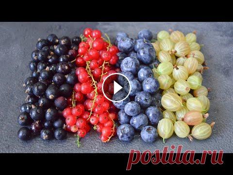 Заготовка ЯГОД ☆ Витамины КРУГЛЫЙ ГОД!!! Сегодня хочу поделиться с вами вариантами заготовки ягод (клубника, смородина, крыжовник, вишня и тд) на зиму! Приготовим: - цукаты - пастилу - сухофр...