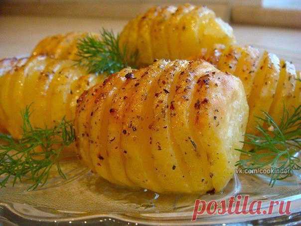 КАРТОШЕЧКА 