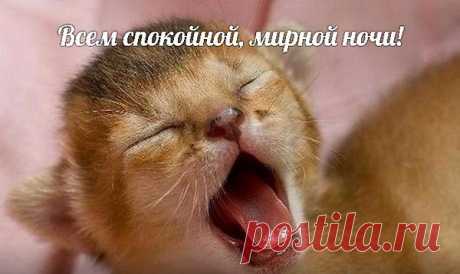 Ночь подарит всем добрые сны,
Как перо от чудесной жар птицы.
Пусть всем только хорошее снится,
В мире этой волшебной страны.