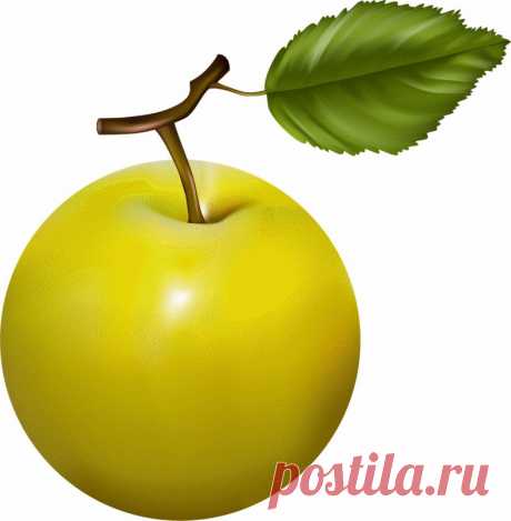 клипарт «дары природы