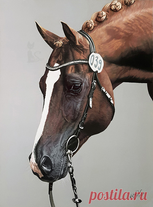 Рисунки и портреты лошадей Кати Зауэр