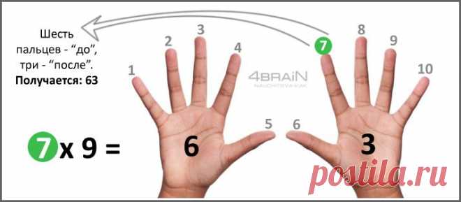 ТАБЛИЦА УМНОЖЕНИЯ НА 6, 7, 8, 9 И 10 НА ПАЛЬЦАХ | Это интересно!