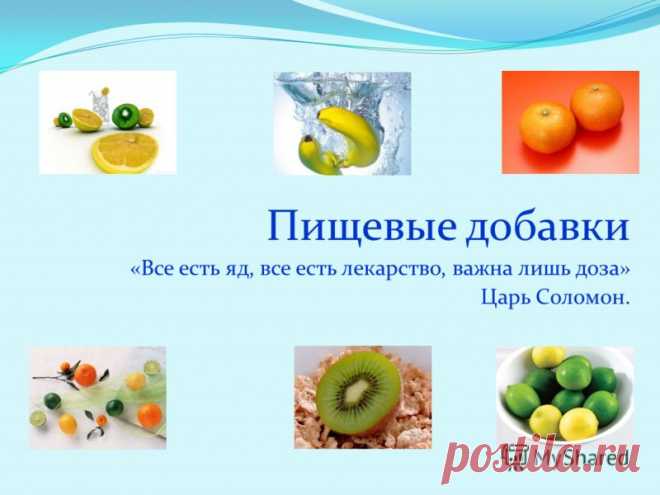 slide_1.jpg (800×600)