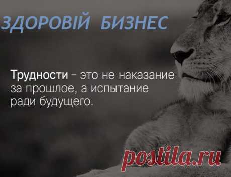 Забота о завтрашнем дне является самой злободневной темой на сегодняшний день . Поэтому для тех кто хочет зарабатывать в интернете и не знает с чего начать, в нашей команде ЗДОРОВЫЙ БИЗНЕС можно получить возможность научиться в интернете создавать себе дополнительный доход.
Без стартового капитала. Регистрация по ссылке