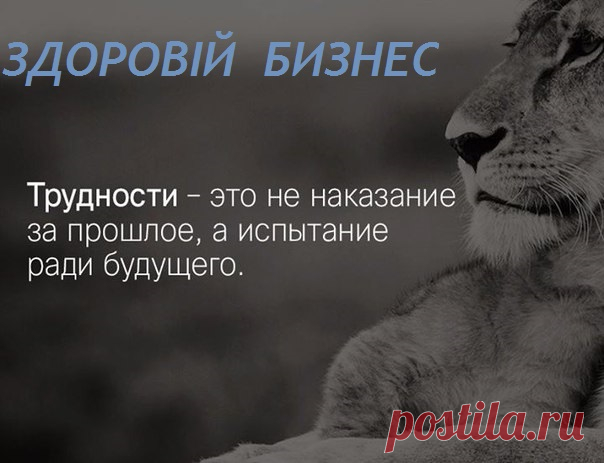 Забота о завтрашнем дне является самой злободневной темой на сегодняшний день . Поэтому для тех кто хочет зарабатывать в интернете и не знает с чего начать, в нашей команде ЗДОРОВЫЙ БИЗНЕС можно получить возможность научиться в интернете создавать себе дополнительный доход.
Без стартового капитала. Регистрация по ссылке