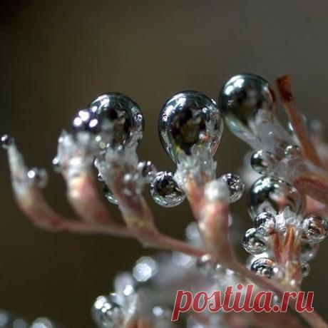 (99+) Одноклассники