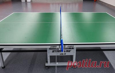 Тренера отстранили на полгода за удар по лицу 11-летнего сына-теннисиста. Инцидент произошел во время турнира в Верхней Пышме